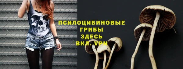 PSILOCYBIN Алексин