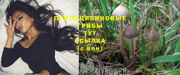 гашиш Алексеевка