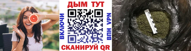 Канабис OG Kush  Купить где  Советский 